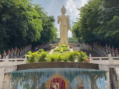 -西双版纳勐泐文化旅游区