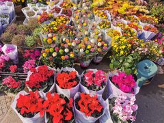 -恒达综合农贸市场(黄山路店)