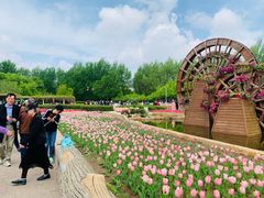 -长春公园(普阳街道)