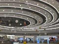 -缘生态云南菜·野生菌庭院餐厅(华侨城店)