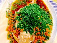 -西郊5号·Maggie 5