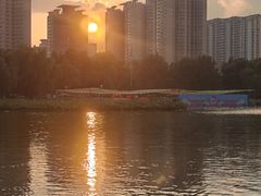 -莲花池公园