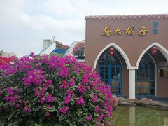 -马大胡子清真西北菜