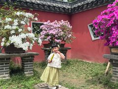 -无锡梅园公园