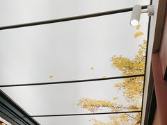 -京味斋·烤鸭·北京菜(安贞店)