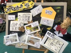 -上海市青苹果幼儿园欧泊园