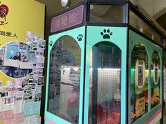 -猫咪博物馆(顶澳仔猫街店)