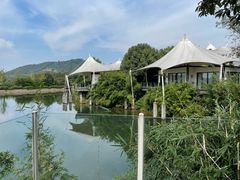 -帐篷客·溪龙茶谷度假酒店