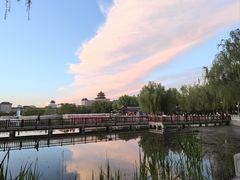 -莲花池公园