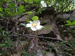 -宝岩生态观光园