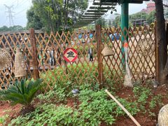 -军山湖云水间生态农业旅游景区