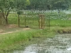 -艾溪湖湿地公园