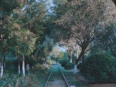 -永定河休闲森林公园