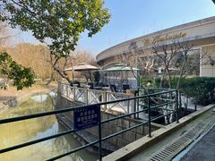 -中加枫华国际学校