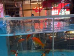-辣得叫湘菜(四明店)