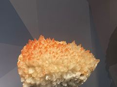 -湖南省地质博物馆