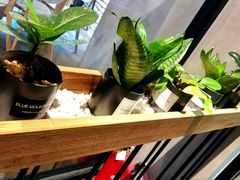 -ZM COFFEE(西安路店)