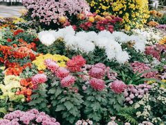 -共青国家森林公园-售票处