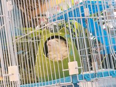 -龟与熊猫宠物公园(南坪店)