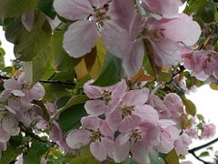 -辽宁省实验中学