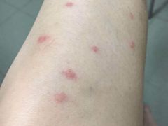 -维也纳国际酒店(深圳新洲店)