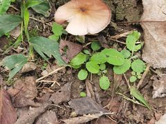 -白鹭湾湿地公园