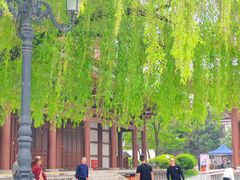 -西安青龙寺遗址景区