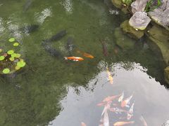 -苏州东山雕花楼宾馆