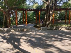 -燕晗山郊野公园
