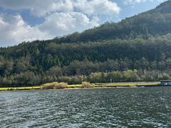 -腾冲北海湿地
