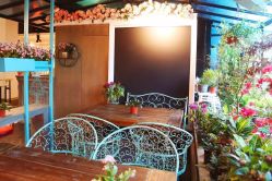 点击看大图 -金棕榈