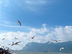 -海埂大坝