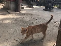 -敦煌古城