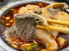 -重庆特色冷锅鱼(武大店)