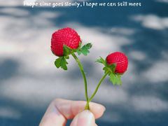 -黑龙江省森林植物园