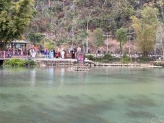 -靖西鹅泉风景区