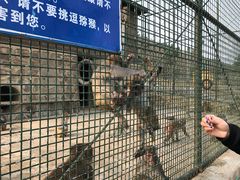 -南京金牛湖风景区