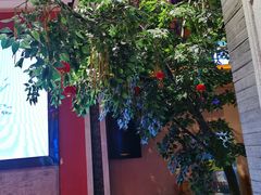 -巢爷老味(东方红店)