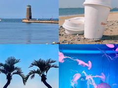 -日照海滨国家森林公园