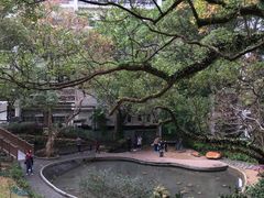 -香港大学