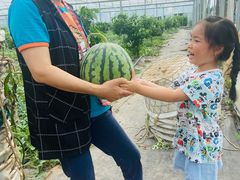 -前小桔亲子创意农场·草莓采摘·露营烧烤