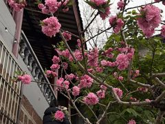 -桃源山庄·摘樱桃·柴火鸡·烧烤团建(龙泉山店)