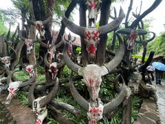 -云南民族村