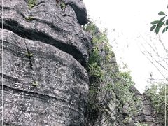 -梭布垭石林景区