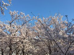 -龙美术馆(西岸馆)