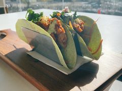 魔王塔克卷-新元素(蓝色港湾店)