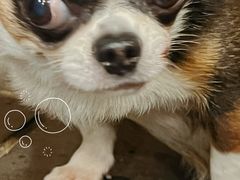 -张记牛肉面馆(天津路店)