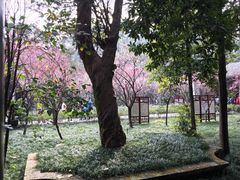 -成都杜甫草堂博物馆