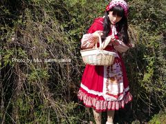 -合肥滨湖国家森林公园