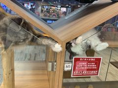 -卓美LAMDA戏剧演讲与培训中心(亚运村店)